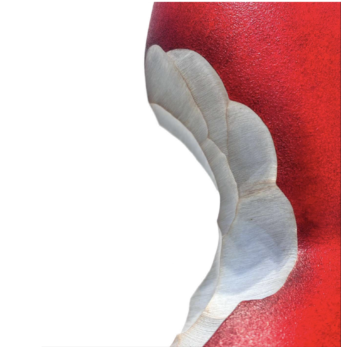 RAYOU - IMPERMANENCE - POIRE ROUGE 36 CM 2 DOMINIQUE RAYOU IMPERMANENCE ROUGE POIRE 36 CM